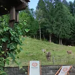 Am Berg * Oberstaufen
